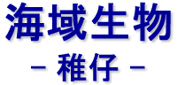 C搶@te